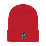 Here Comes the Pain Tour Beanie